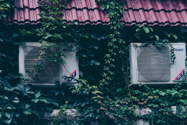 Blog Detail Background